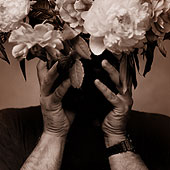 Flower Head