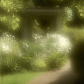 Garden 3