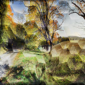Knickerbocker Hill