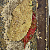 Leaves 21