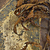 Leaves 8