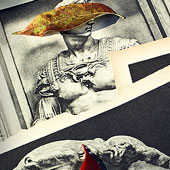 Roman 11