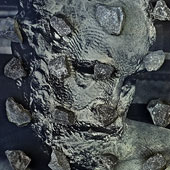 Roman 9