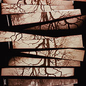 Stacked Woods
