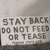 Stay Back