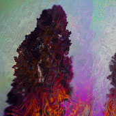 Twin Trees