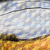 Wheat Fields
